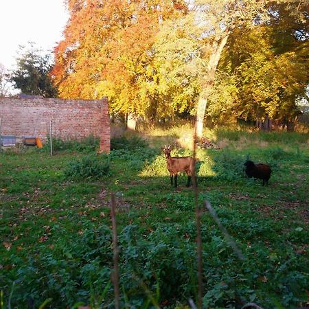 Le Jardin Des Ecureuils Hotel Demuin Bagian luar foto